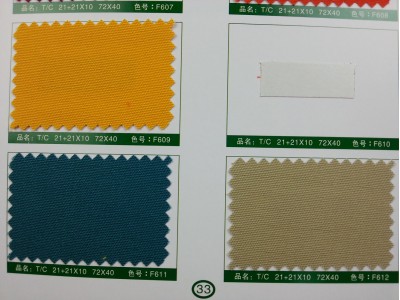 SD-DGYE   滌棉厚珠帆   T/C    21+21*10   72*40 細節-3